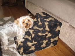 We did not find results for: Custom Pet Socks Fast Shipping The Y Guide