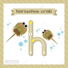 I could either commit suicide, or create and publish the alphabet of. Letter H Lowercase Cute Children Colorful Zoo And Animals Abc Royalty Free Cliparts Vectors And Stock Illustration Image 118387143