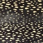 Whats people lookup in this blog: Prestige Carpet Deerfield Warehouse Carpets
