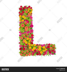 Letter L Alphabet Made From Zinnia Flower Abc Type K Symbol Images With Flowers 812885 Hd Wallpaper Backgrounds Download Free download alphabet in high definition quality wallpapers for desktop and mobiles in hd, wide, 4k and 5k resolutions. hd wallpaper backgrounds download