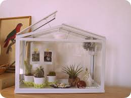 Diy Decorer Une Serre D Interieur Serre Interieure Diy