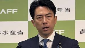 Auto Upkeep: Basic Car Care, Maintenance, and Repair (Homeschool Paperback  Text Curriculum Kit)|Michael E. Gray and Linda E. Gray.