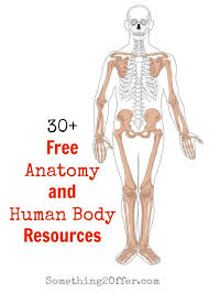 Free Anatomy And Human Body Resources Human Body Activities Human Body Unit Study Human Body Anatomy