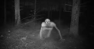 Skinwalkers: The Taboo of the Shape-Shifter | Futurism