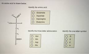 Check out our massive range of amino acid blends and bcaa powders. An Amino Acid Is Drawn Below Identify The Amino Chegg Com