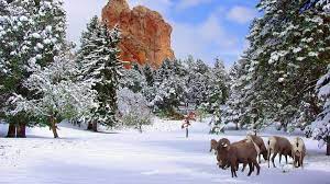 Click here to find out more information or to book a reservation. Christmas Holiday Events 2019 Visit Colorado Springs