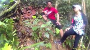Otherwise, check out these important facts you probably never knew about worldtech.my. Raflesia Expedition For Worldtech Solution Sdn Bhd Youtube