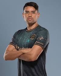 Bildergebnis für Horacio Torres