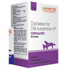 Cephalexin is used to treat a wide variety of bacterial infections. Cephavet Dry Syrup The Veterinary Medicine