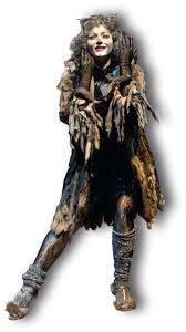 A tribe of cats called the jellicles must decide yearly which one will ascend to the heaviside layer and come back to a new jellicle life. Cats Musical Characters 2019 Cat S Blog