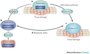 figure 2 pathogenicity of inborn errors of metabolism that