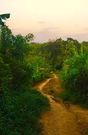 Centre for schooling and learning technologies (csalt). Byron Williamson Aggiepastor86 Twitter