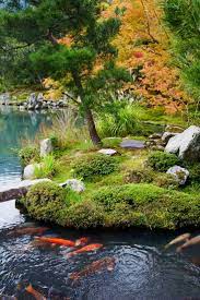 Finn Et Fuktig Omrade Japansk Hage Zen Hage Asian Garden