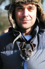 Sandra Bode (sbode31663) — Perfil