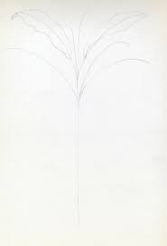 Tropical leaf illustration, drawing, engraving, ink, line art, vector. How To Draw Banana Tree