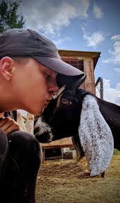 Baby goats are good for the soul