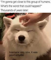 Maybe you would like to learn more about one of these? Hoeman Very Nice Wholesomememes