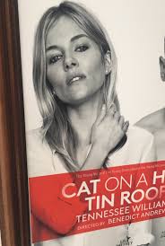 Katie Mavroleon (@kmavroleon)