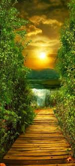 The Fatal Gift Of Beauty Janetmillslove Peaceful Pathway S Moment Love Beautiful Landscapes Beautiful Nature Nature Photography