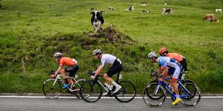 2020 tour de suisse cancelled. Tour De Suisse Dritte Etappe Fuhrt Von Flamatt Nach Murten