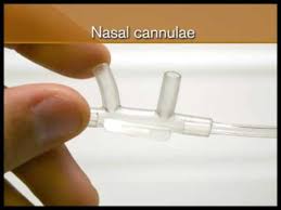 Nasal cannulas provide a low level of supplemental oxygen. Nasal Cannulae In Oxygen Therapy Youtube