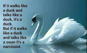 If It Walks Like A Duck But Talks Like A Swan It S A Narcissist Blog Writing Interesting Blogs Inspirational Quotes