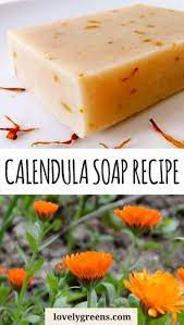 Dried calendula flowers for soap making. How To Make Calendula Soap A Natural Yellow To Orange Colored Soap Lovely Greens