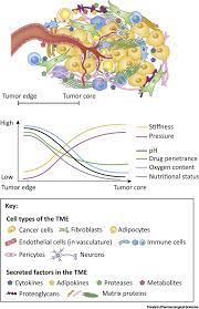 Please laugh, my friends are watchingwe're gonna be rich! The Interplay Of The Extracellular Matrix And Stromal Cells As A Drug Target In Stroma Rich Cancers Trends In Pharmacological Sciences