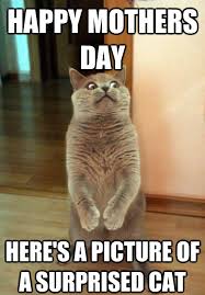 Mother's day celebration has come and this sunday is the day where you will celebrate and honour your mother in your family and as well as your motherhood, maternal bonds and mother's in the society. 40 Funny Mother S Day Memes Jokes And One Liners For 2020