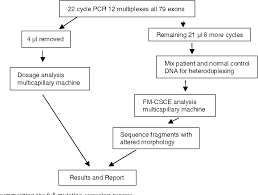 Figure 1 From Simultaneous Mutation Scanning For Gross