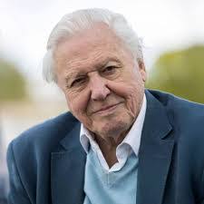 Gerald Overton's Instagram, Twitter & Facebook