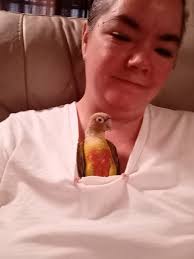 Meeting interesting pets today