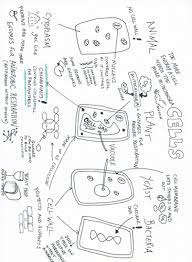 Search Teaching Resources Gcse Science Science Revision Gcse Science Revision