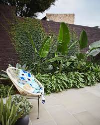 The Balcony Garden Thebalconygarden Instagram Fotos Und Videos In 2020 Tropical Garden Design Small Tropical Gardens Tropical Backyard