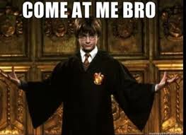 Harry potter and the year of no haircut. Harry Potter Memes Typicalmuggle Twitter