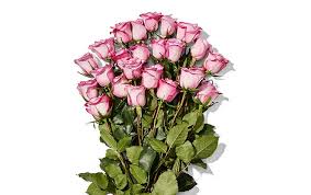 Maybe you would like to learn more about one of these? Amazon Roses Prime Members Get 24 Roses For 19 99 At Whole Foods