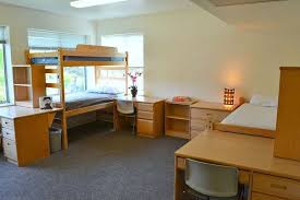 Triple Dorm Room Layout Google Search Dorm Room Layouts Dorm Layout Dorm Room Furniture