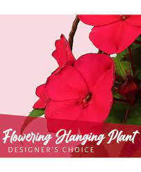 Ashland state park is situated near major cities such as boston. Providence Florist Providence Ri Flower Shop Frey Florist Greenhouses