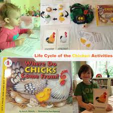 Home activities for kids life cycle of a chick. Preschool Chicken Activities