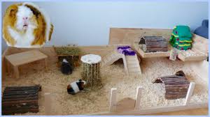 Jul 05, 2021 · 14 inches high sides provide for secure and convenient access to guinea pigs; How To Build Your Own Wooden Guinea Pig Cage Diy Cage Youtube