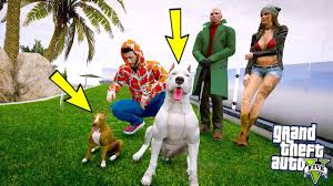 Yavru Pitbull Eve Giren Hirsizi Parcaladi Gta 5 Youtube
