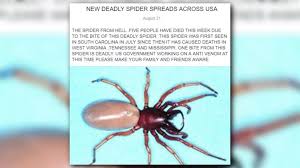 If you are worried that the jumping spiders in your home bite and are poisonous, pestguide can help. Verify Deadly New Spider Spreading Across The U S Wusa9 Com