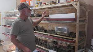 With these diy coat rack projects that are all uniquely distinct, totally functional, and handmade, you will stun your visitors with your creativity! Quail Feeders Modifying The J Feeder For Less Waste Youtube