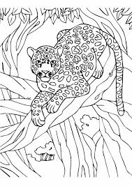 Supercoloring.com is a super fun for all ages: Parentune Free Printable Leopard Coloring Pages Leopard Coloring Pictures For Preschoolers Kids