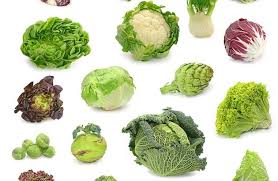 Estrogenic foods can create way too much estrogen or bad estrogen in your body. Estrogen Rich Foods List To Avoid Beauty News