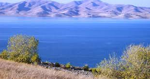 Campsite use must be paid for in advance. Los Banos Creek Campground San Luis Reservoir Ca 1 Hipcamper Review