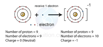 However, the charges within molecules are not always arranged which types of molecules, polar or nonpolar, are the stickiest? Ionic Bonding Flashcards Quizlet