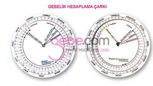 kac haftalik hamileyim gebelik haftasi hesaplama gebe com
