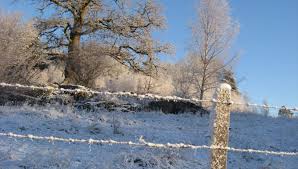 Wintertime is a wonderful time to practice yin yoga. Yin Yoga Archives Mysan Yoga