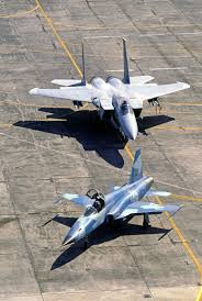 It can do pretty much anything at a bargain price. F 14 Vs F 16 Dogfight